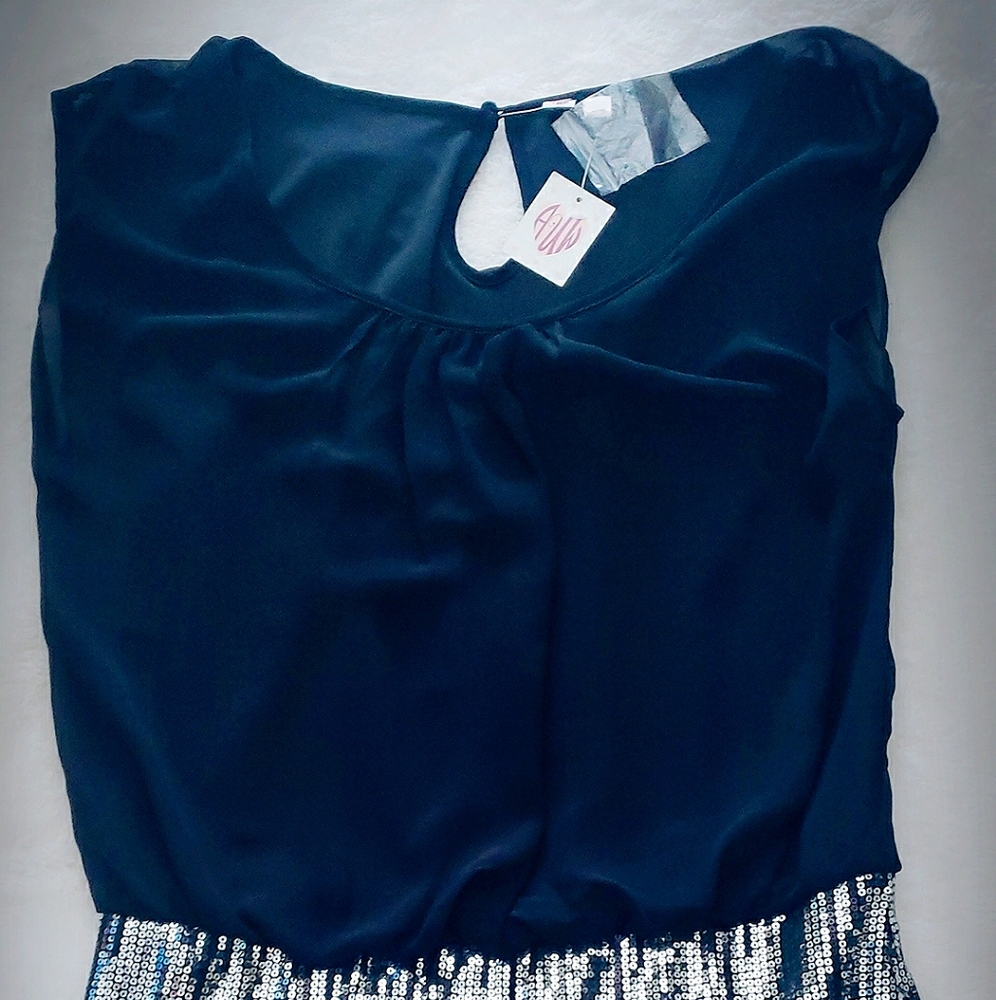 As U Wish Semi-Sheer Chiffon/Sequined Mini Dress